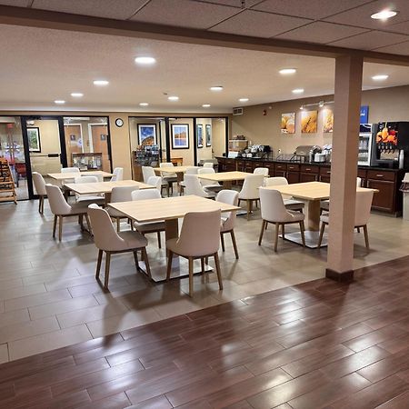 Comfort Inn & Suites Black River Falls I-94 Exteriér fotografie